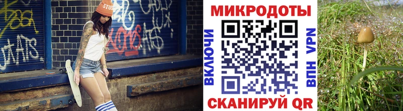 Псилоцибиновые грибы мицелий  Пустошка 